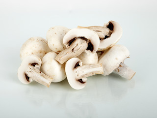 Pilze