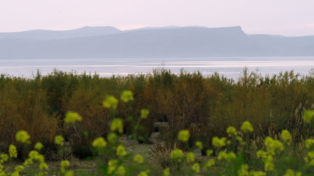 Stock Video Footage of the shore of the Sea of Galilee shot in Israel at 4k with Red.