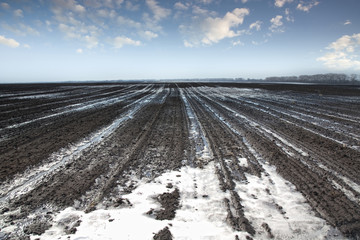 Melting snow in a plowed field
