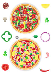 pizza and components vector illustration