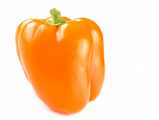 Orange pepper on a white background