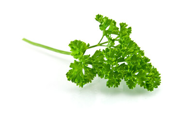 Fresh Parsley