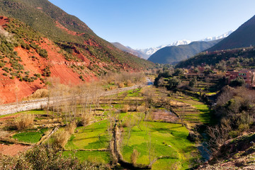 Ourika valley green fields © Anton Zelenov