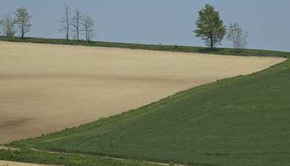 Il disegno della campagna 02