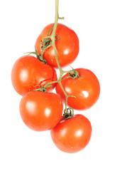 Tomaten
