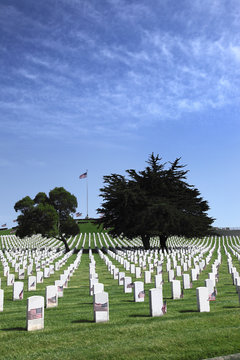 Headstones at United States National Cemetery