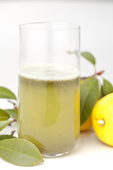 lime and lemon juice with parsley