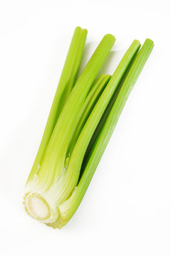 fresh green celery on white