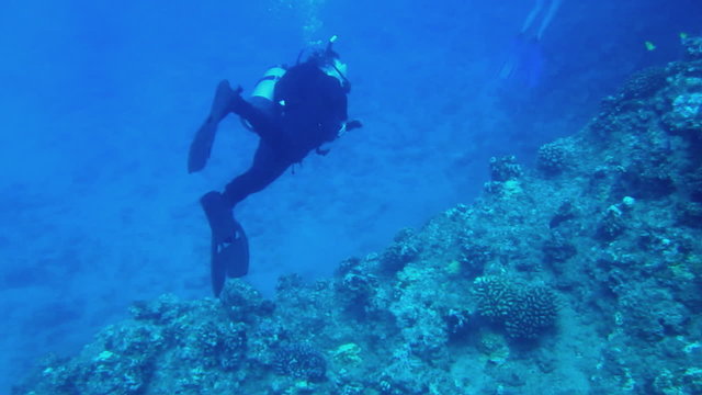 Scuba Diver at Tropical Reef