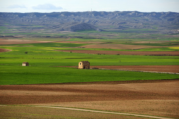 Obraz premium campo de belchite