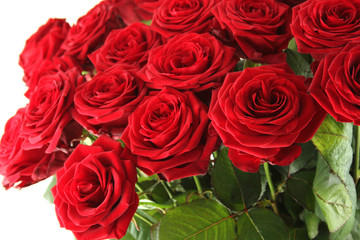 Red roses