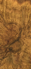 burl wood background