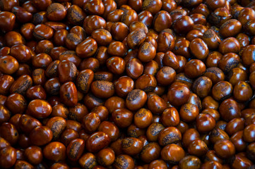 roasted chestnuts for sale