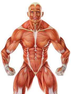 muscle man angry pose