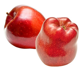 red apple isolated on white background