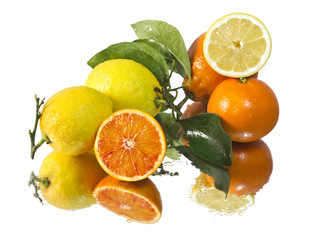 fresh lemon and orange fruits