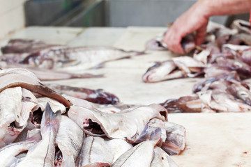 Preparation of raw fish at a fish shop