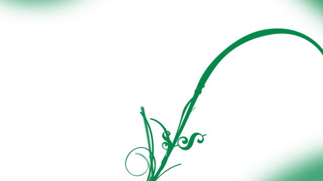 Money Grows on Vines