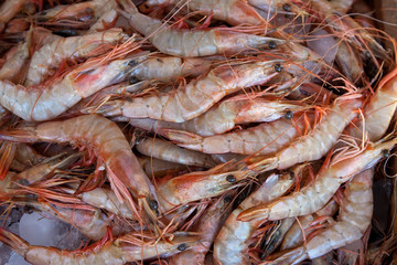 prawns on market counter