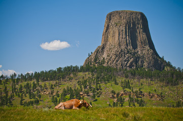 Devil's Tower