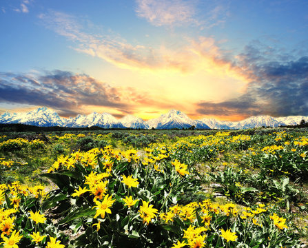 A Beautiful view at Grand Teton National park