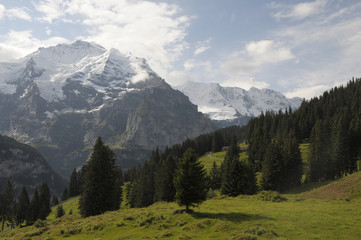 Lauterbrunnen valley under morning mist