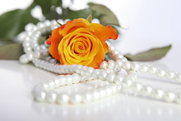 Rosen Orange