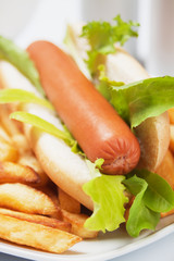 Hot dog with lettuce and french fries