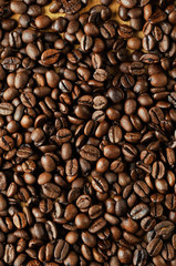 Fototapeta premium Coffee beans
