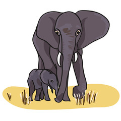 Elefant mit Elefantenbaby