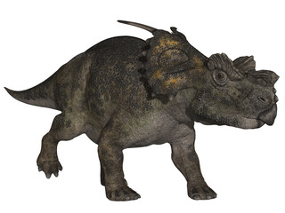 Achelousaurus - 3D Dinosaurier