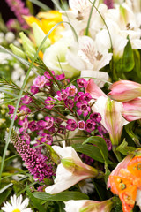 bouquet of colorful flowers