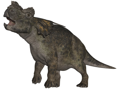 Achelousaurus - 3D Dinosaurier