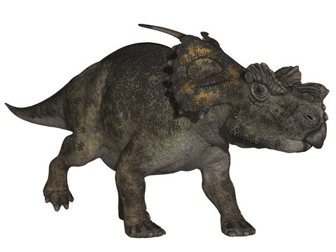 Achelousaurus - 3D Dinosaurier