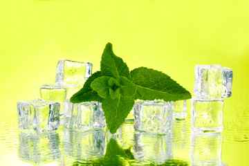 Fresh mint leaf and ice cubes with droplets on green background