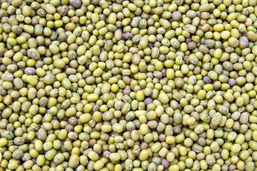 Mung Bean