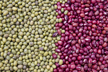 Red and green  bean