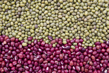 Red and green bean