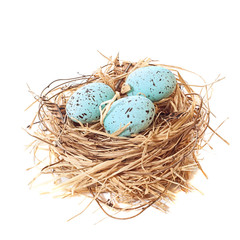 Nest of Easter Eggs