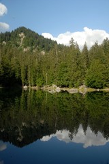 Fototapeta na wymiar Lac Vert - Micafer - 3