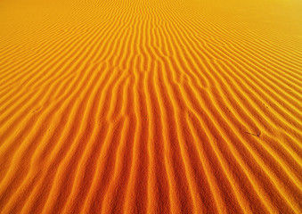 Sand dune in Sahara Desert