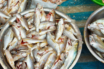 Fresh fishes in market