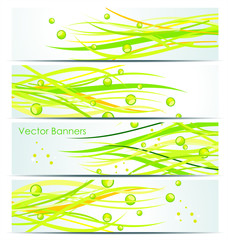 Green lines. Abstract vector background