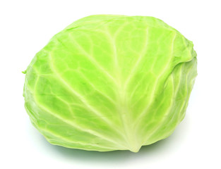 Fototapeta premium Green cabbage