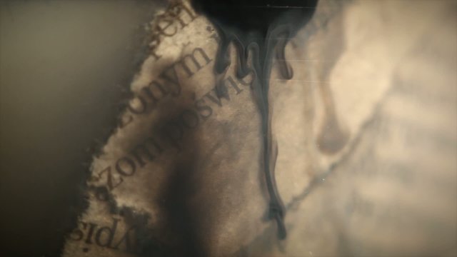 gazeta