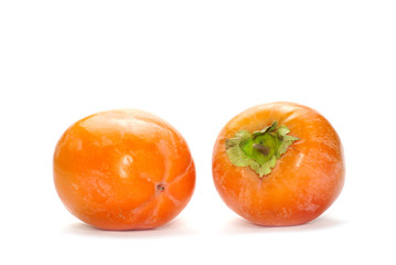 persimmon