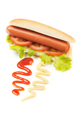 Hot dog isolated on white