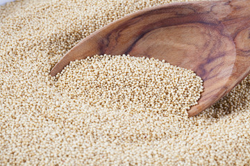 Amaranth with Spoon
