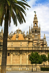 Fototapeta premium La giralda