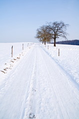 Obraz premium Winterstrasse